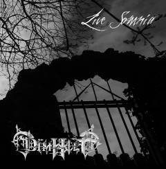 Dimholt : Live Somnia